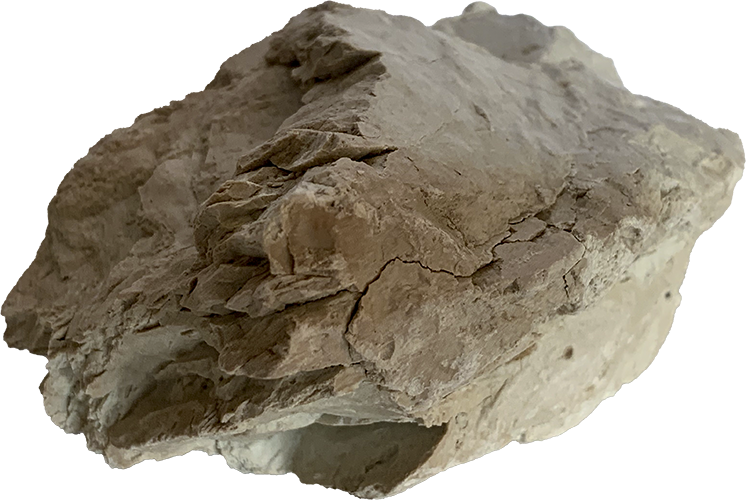 IMG_9687 copia_piedra3